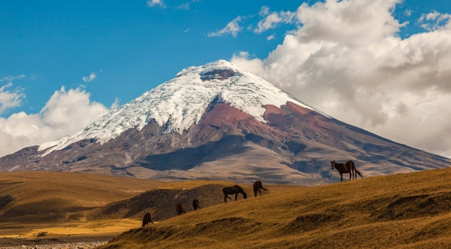 Você no centro do mundo: desbrave os vulcões do Equador