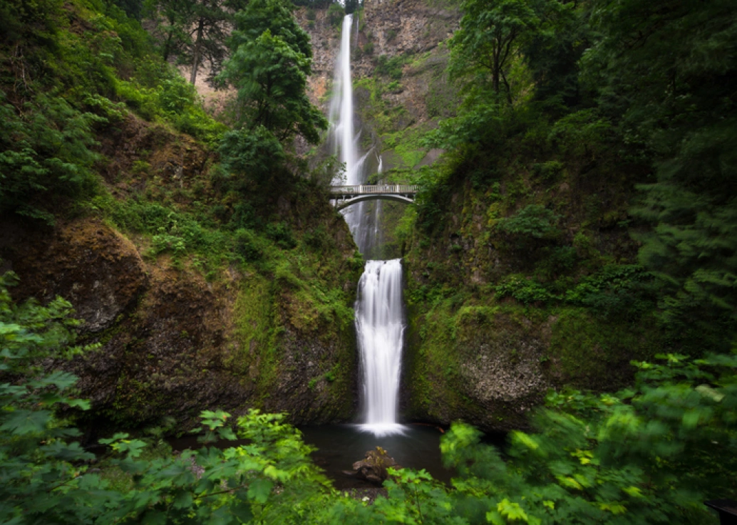 Fotografia da cachoeira Multnomah Falls, no estado de Oregon, Estados Unidos. Há vegetação abundante ao redor e uma ponte acima da última queda d’água.