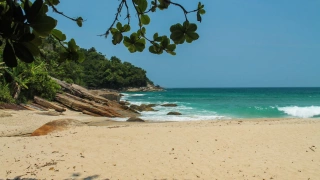 Vista para a faixa de areia e mar verde-esmeralda com algumas pedras no canto esquerdo. Vegetação ao fundo
