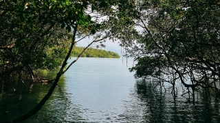 Abertura da vegetação com caminho hídrico dando para  o litoral da Bahia.