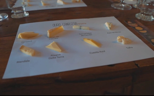 Pedaços de diferentes tipos de queijo em cima de mesa de degustação