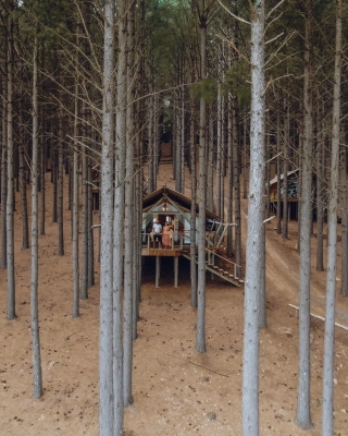 Casal à frente de casa localizada em bosque de pinus