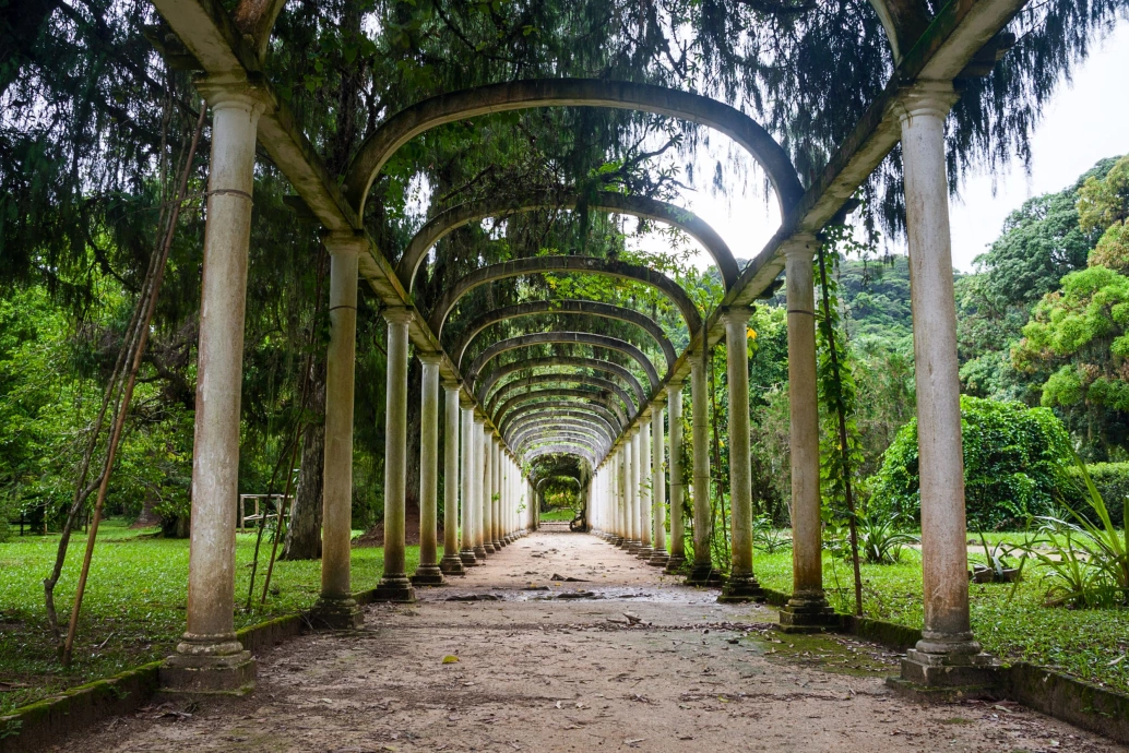 Caminho com estrutura de pilastras em meio à vegetação do Jardim Botânico