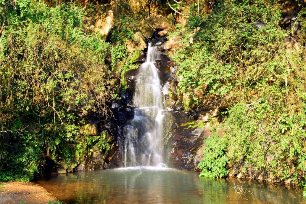 Vista frontal de cachoeira centralizada em meio à vegetação