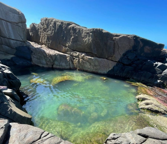 Piscina natural de água cristalina esverdeada envolta de rochas em praia catarinense.