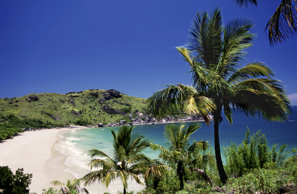 Praia com areia branca vista pela lateral. No plano frontal, alguns coqueiros. Ao fundo, mar azul intenso e montanha coberta por vegetação nativa