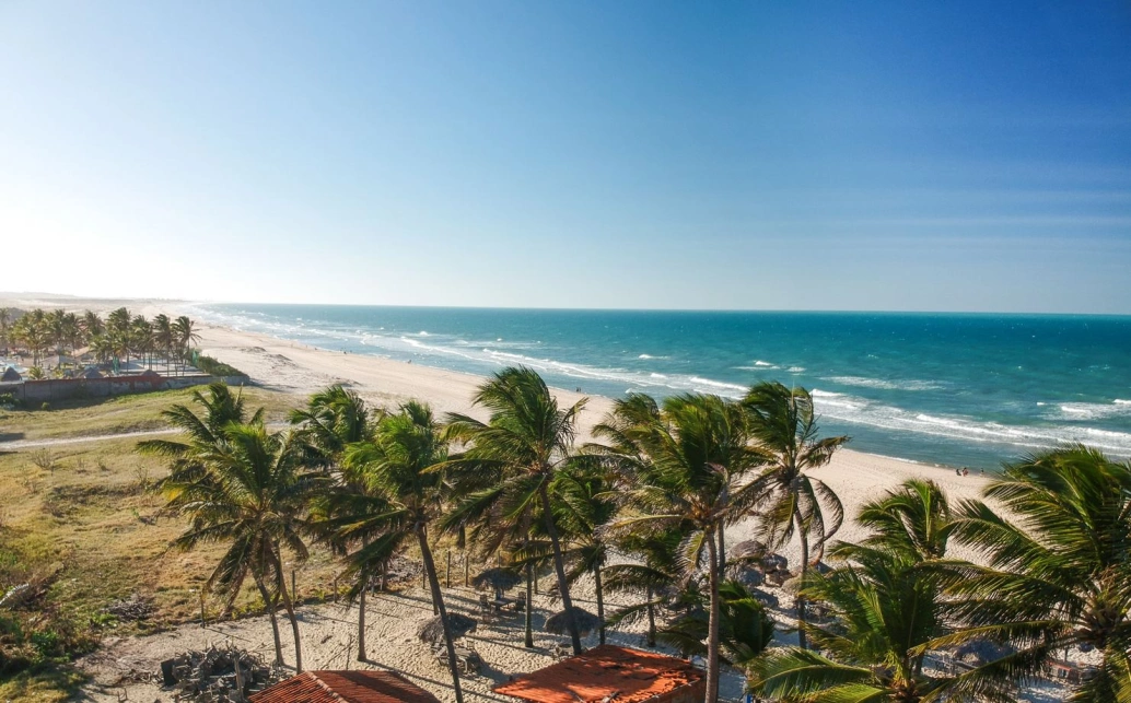Imagem de uma praia tranquila, destacando a vegetação em volta com palmeiras à frente, ao fundo o mar e o céu azul.