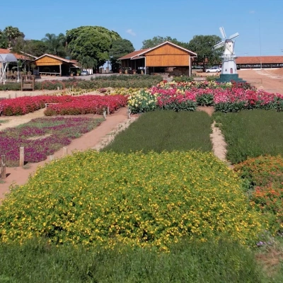 Vista panorâmica de campo com vários cultivos de flores e plantas verdes na cidade de Holambra, em SP.