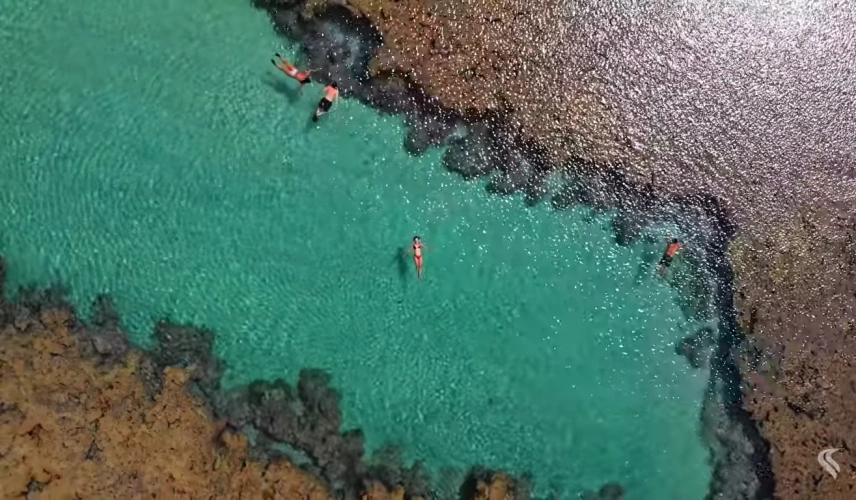 Pessoas flutuando em praia de piscina natural de águas transparentes cercadas de corais