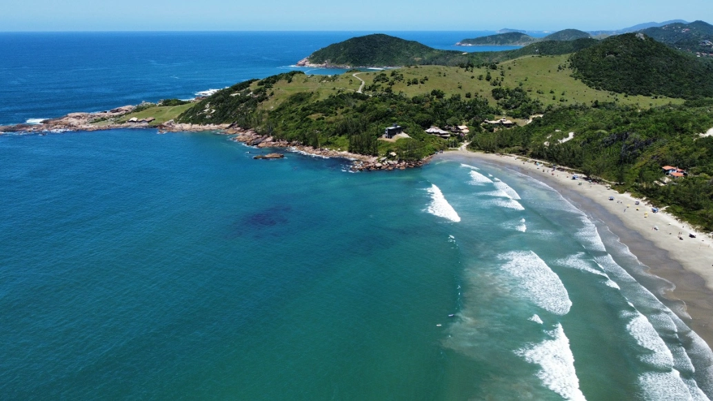 Vista panorâmica de praia deserta com águas azuis cercada por vegetação nativa em dia ensolarado
