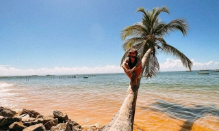 Homem sentado em coqueiro na beira da praia em dia ensolarado
