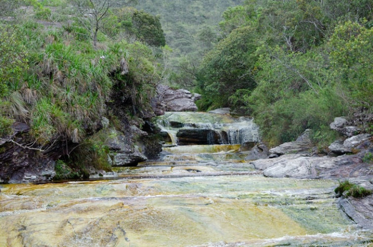 Pequena queda d'água sobre rochas cercadas por vegetação