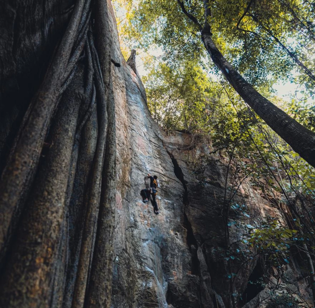 Vista da base de um paredão de pedra onde um homem está escalando com equipamentos de segurança. A formação rochosa é cercada por vegetação nativa, incluindo árvores com muitos metros de altura