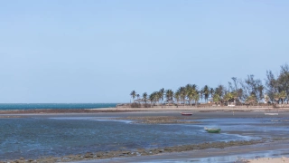Vista lateral de uma praia de águas calmas. Ao fundo, coqueiros e barracas