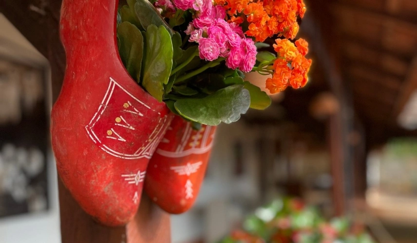 Dois sapatos holandeses vermelhos pendurados com flores dentro deles.