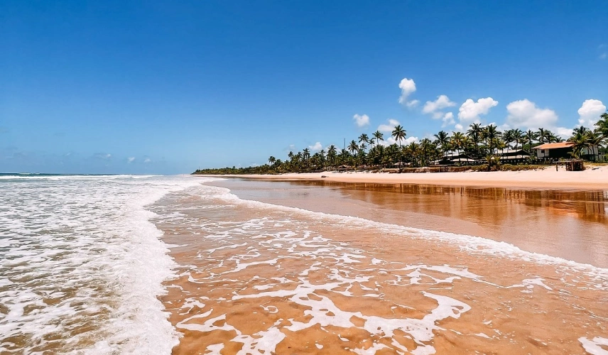 Pequenas ondas de praia deserta cercada por coqueiros em dia ensolarado