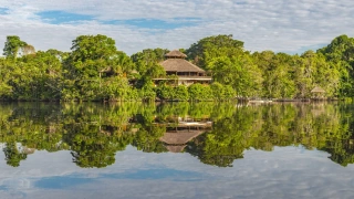 Tradicional construção com cobertura palha em meio à vegetação amazônica