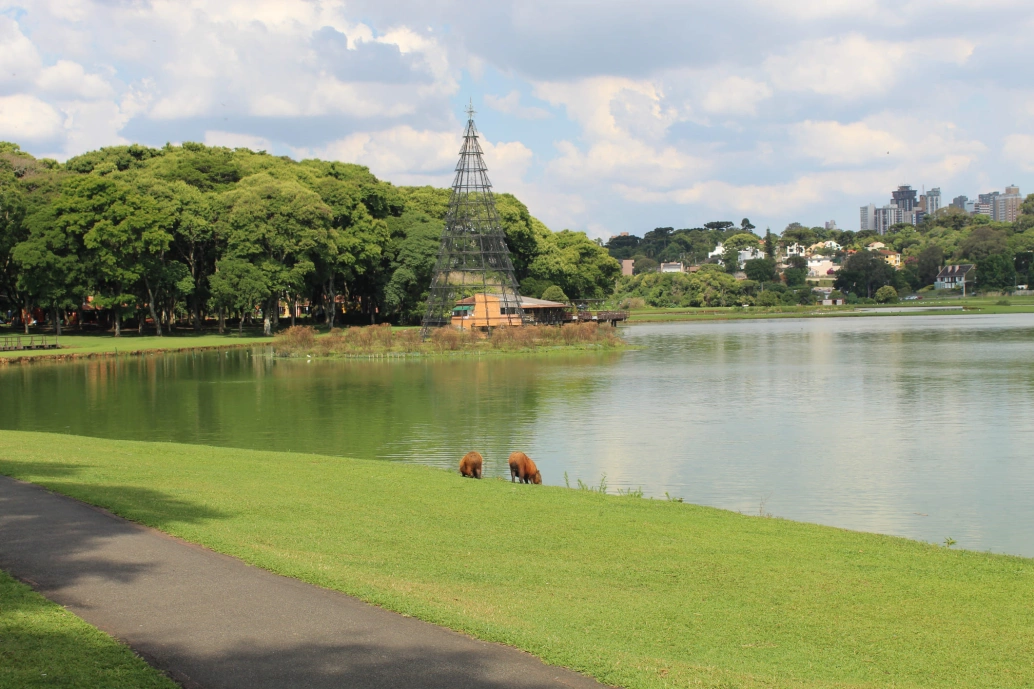 Duas capivaras em dia ensolarado na beira de um lago dentro de um parque arborizado