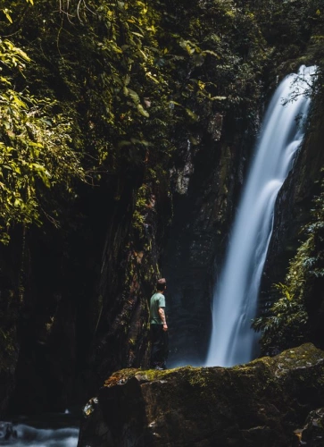 Homem em pé em cima de uma pedra observando uma cachoeira em meio a uma vegetação densa