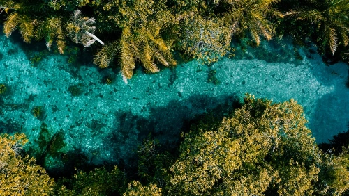 Vista aérea de um rio de água azul cristalina cercado por vegetação em dia claro