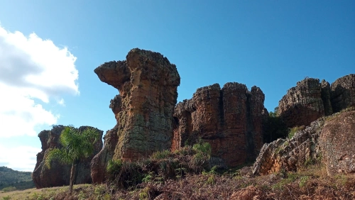 Formações rochosas que se assemelham a grandes torres acompanhadas de vegetação com destaque para ceu azul com poucas nuvens