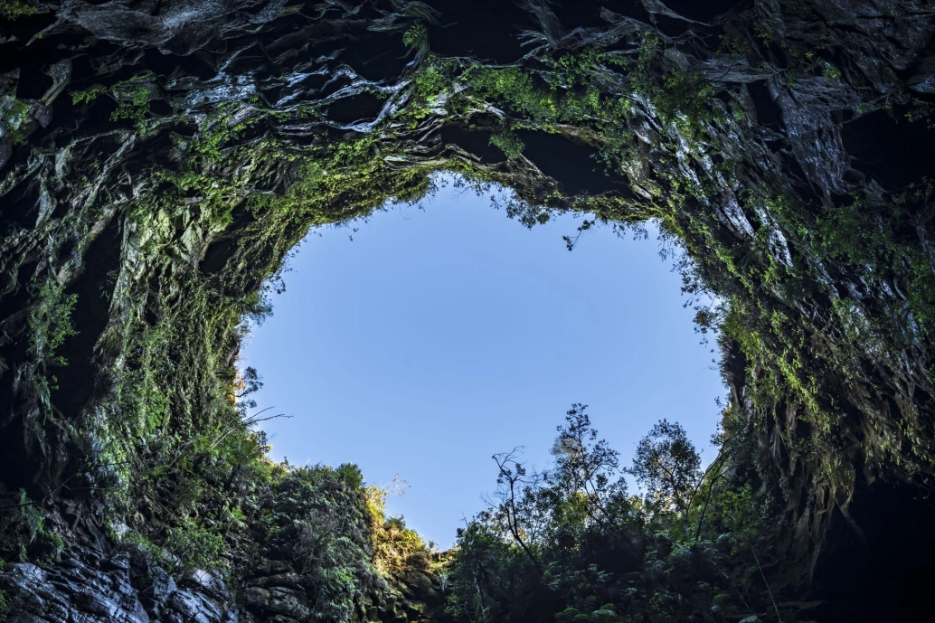 Visão de dentro de um buraco em uma pedra com cobertura vegetal