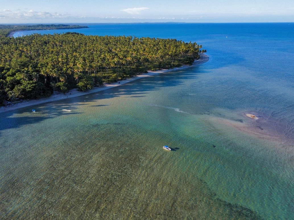 Vista aérea de uma praia com piscinas naturais de águas azuis cristalinas com extensa vegetação de coqueiros às suas margens