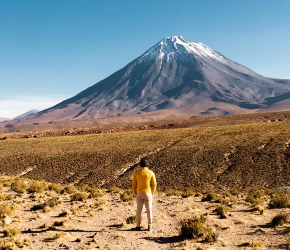 Homem se destaca olhado para vulcão em meio à vegetação desértica.