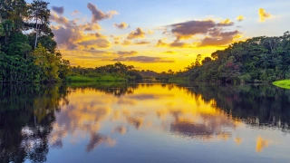 Pôr do sol reflete em um rio em meio à Floresta Amazônica