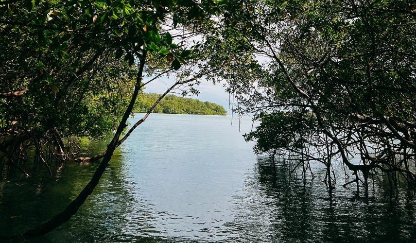 Abertura da vegetação com caminho hídrico dando para  o litoral da Bahia.