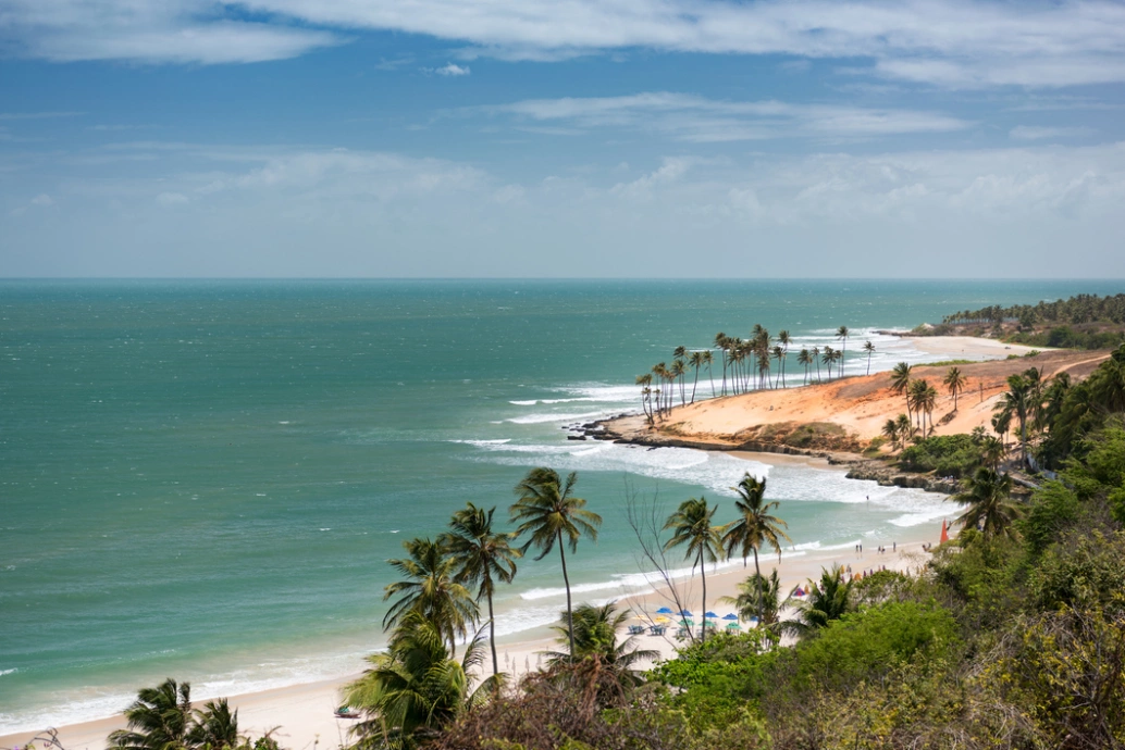 Vista aérea de praia com mar esverdeado, dunas de areia e coqueiros