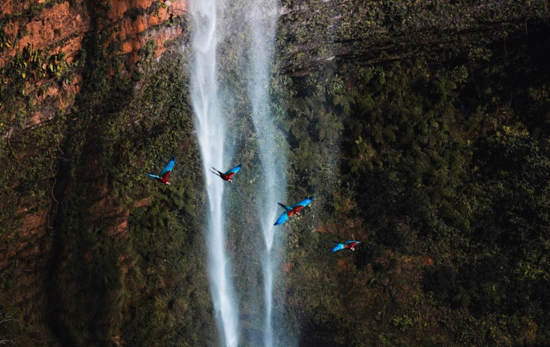 Vista frontal de cachoeira na Chapada dos Guimarães com belas araras azuis voando è frente
