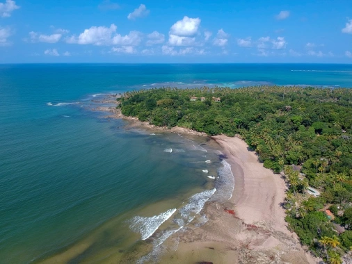 Vista aérea de uma ilha com águas verdes azuladas cercada por extensa vegetação de coqueiros
