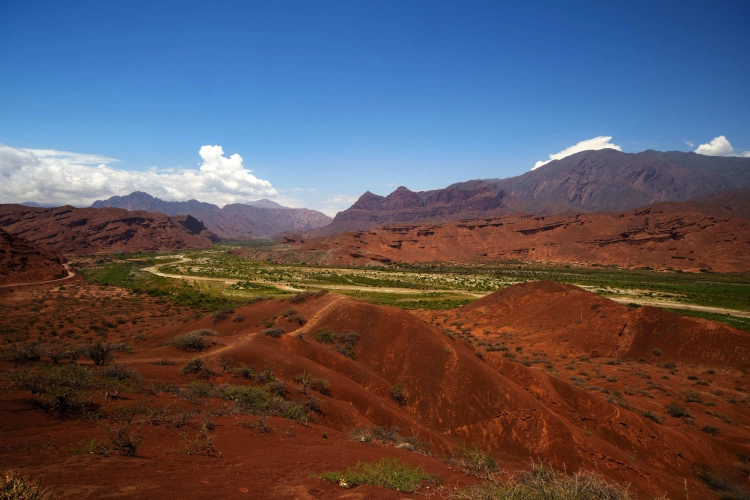 Visão de natureza parcialmente desértica, com montes e montanhas alaranjadas e um curso de vegetação verde ao centro. O céu azul limpo ao fundo contrasta com a paisagem