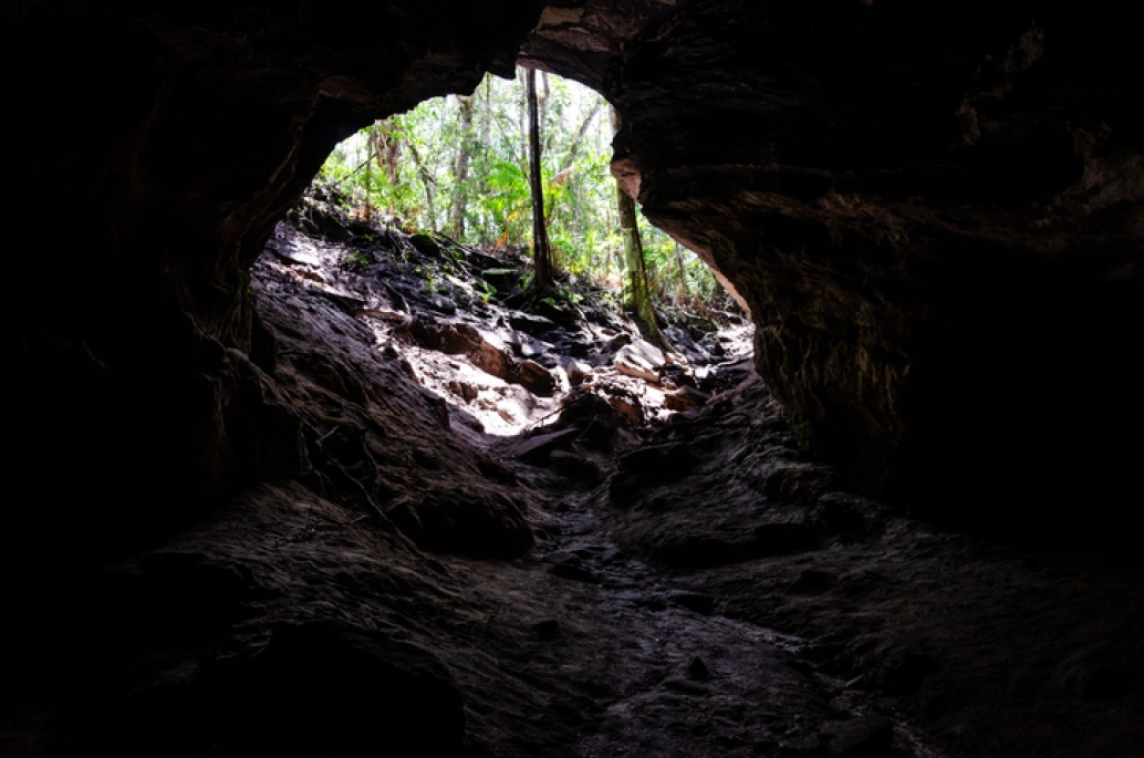 Entrada de uma gruta vista de dentro para fora. A imagem é predominantemente escura e mostra a vegetação através da cavidade da gruta