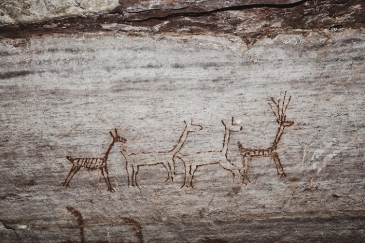 Parede rochosa com inscrições rupestres representando quatro animais enfileirados