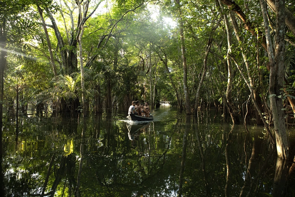 Um barco com pessoas navega por rio cercado de vegetação nativa como igapés e igarapós.