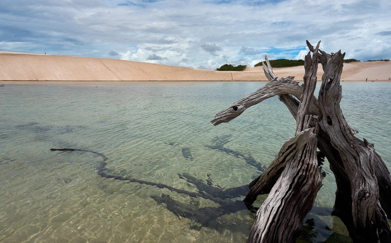 Galhos secos de árvore caídos em um lago de cor esverdeada e águas cristalinas, emolduradas por dunas de areia