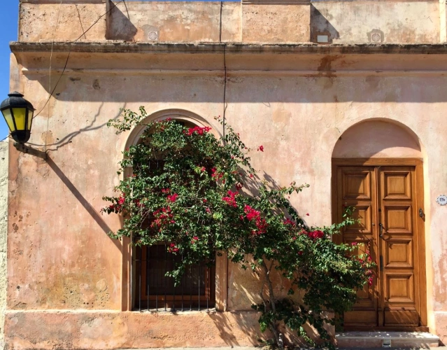 Fachada de casa antiga em bairro histórico do Uruguai. As paredes contrastam com uma pequena árvore florida que sobre pela construção