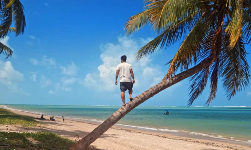 Homem em pé sob coqueiro da praia em dia ensolarado
