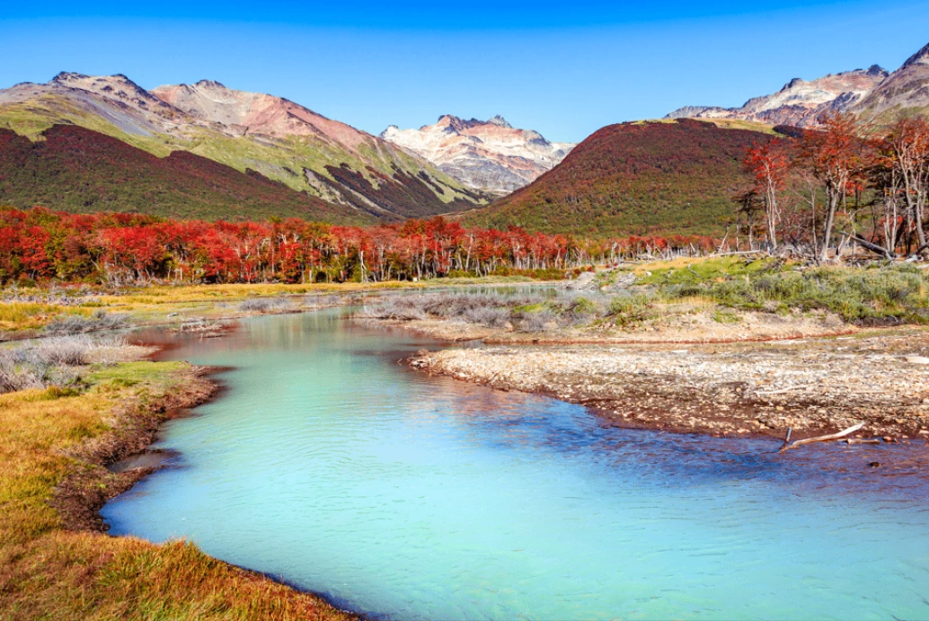 Bela paisagem da floresta de lenga e montanhas no Parque Nacional Tierra del Fuego, Ushuaia, Patagônia.