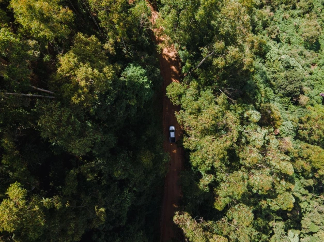Vista aérea de um carro passando por estrada de terra cercada de vegetação