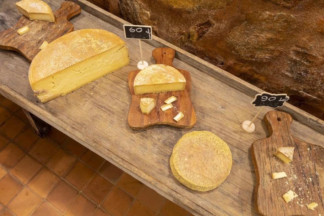 Mesa posta com peças de queijo artesanais para degustação.