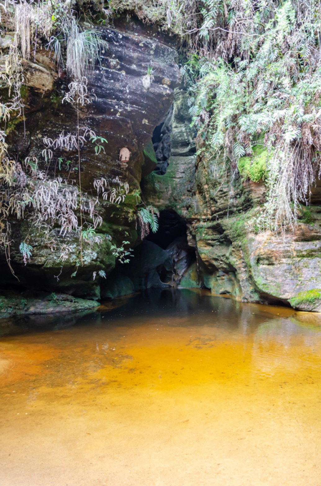 Pequena gruta em meio a um paredão rochoso coberto por lodo e algumas folhas. Forma-se um lago raso na entrada da gruta