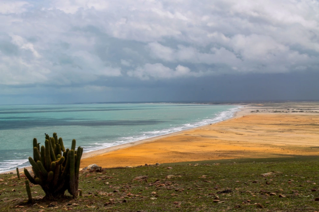 Vista aérea de praia com ampla faixa de areia dourada, mar azul-turquesa e céu nublado