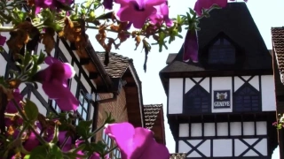 Flores de cor lilás à frente de fachada de construções de arquitetura europeia em dia claro