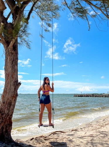 Mulher em pé em um balanço instalado no galho de uma árvore na praia