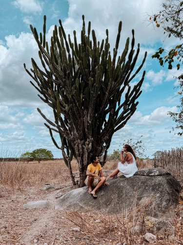 Um homem e uma mulher sentados em pedras admirando um enorme cacto em região árida em dia claro