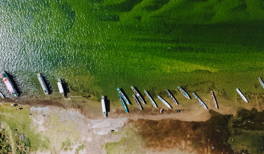 Vista aérea de uma praia com águas esverdeadas com vários barcos estacionados na margem