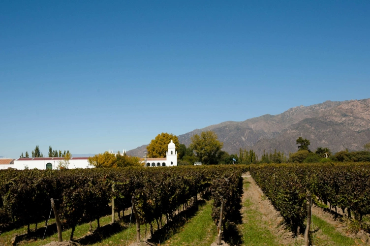 Foto de vinícola. À primeira vista, a plantação de vinhedos e, ao fundo, construções no estilo colonial. Uma montanha se destaca à esquerda, em frente ao céu azul.